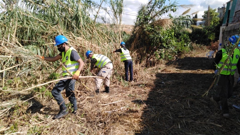 Labor Intensive Forest Management Activities in Chouf Aaley Area