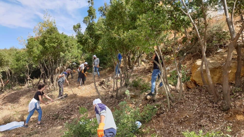 Labor Intensive Works in Forest Management Activities and Cleaning of Irrigation Canals in Al Hasbani Area